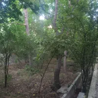 اجاره کوتاه مدت باغ ویلا مهریز|اجارهٔ کوتاهمدت ویلا و باغ|یزد, |دیوار