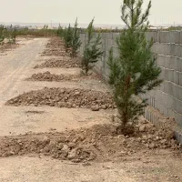 زمین ملکی آماده به ساخت