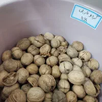 ذرت پفیلا درجه یک|خوردنی و آشامیدنی|کوهدشت, |دیوار