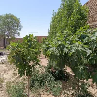 زمین-چهاردیواری-فروشی