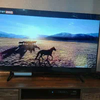 تلویزیون QLED سامسونگ 50 اینچ|تلویزیون و پروژکتور|فردیس, منظریه|دیوار