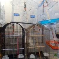 قفس های زینتی برای پرندگان زینتی