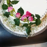 خدمات خانوم