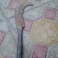 یک عدد داس سالم
