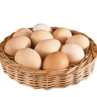 تخممرغ تازه محلی