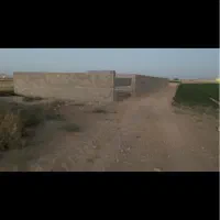 زمین باغی دیوار کشی شده