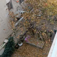 ۸۳متر دو خوابه طبقه دوم پارکینگ انباری سند تک برگ|فروش آپارتمان|کرج, شهرک امام رضا (ع)|دیوار