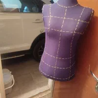 دو عدد مانکن