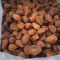 فروش آلو بخارا /شیره انگو/ رب الو