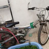 دوچرخه المپیا ۲۶، 20 vino