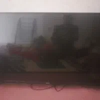 تلویزیون|تلویزیون و پروژکتور|نورآباد, |دیوار