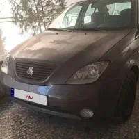 تیبا صندوق دار نوک مدادی