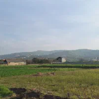 ۷۲۱ متر ۸۰ متر بنا