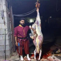 قصاب هستم