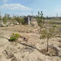 باغ 500متری جاده ترک سه کیلومتری شهر|فروش خانه و ویلا|میانه, |دیوار