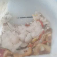 فنچ|پرنده|سهند, |دیوار