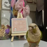 گرینچیک گمشده