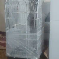 قفس پرنده فروشی