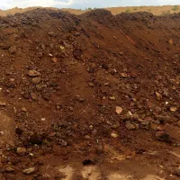 کود گاوی|خدمات باغبانی و درختکاری|کویرات, |دیوار