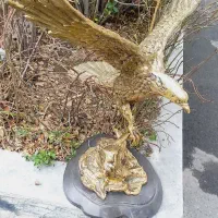 فروش عقاب برنزی کیفیت عالی