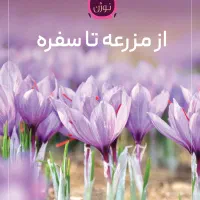 استخدام خانم مسلط به سایت و فتوشاپ