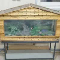اکفاریوم