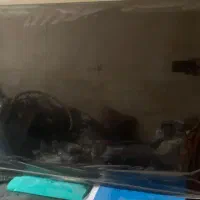 تلویزیون پروویژن ۵۵ اینچ