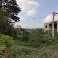 زمین قابل ساخت باانشعابات دربابلکنار|فروش دفتر صنعتی، کشاورزی، تجاری|مرزیکلا, |دیوار