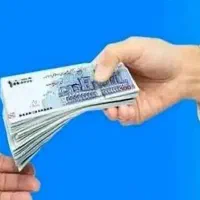 ضامن میشم