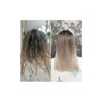 تخفیف ویژه پروتیین تراپی مو|خدمات آرایشگری و زیبایی|شیراز, ریشمک|دیوار