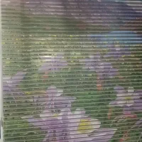 پرده زبرا طرح منظره