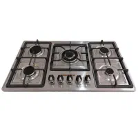 تعمیرات انواع اجاق گاز های صفحه ای