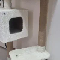 اسکرچر گربه