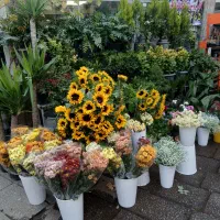 راهنمایی  و مشاوره داوطلبانه