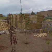 اجرای سیمان کاری بنایی محوطه سازی کاشی کاری تخریب|خدمات پیشه و مهارت|همدان, |دیوار