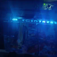 پلی5|کنسول، بازی ویدئویی و آنلاین|پرند, فاز ۵|دیوار