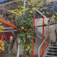 فروش ویژه ملک مسکونی دهبکری دوبلکس