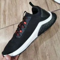 کتونی پوما هیبرید|کیف، کفش، کمربند|مشگین شهر, |دیوار