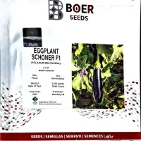 ((نشا))|گل و گیاه طبیعی|دزفول, |دیوار