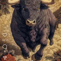 رینگ اسپرت تیوفایوی ۱۵