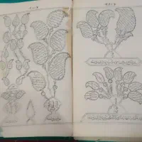 سرکتاب