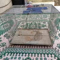 قفس پرنده بسیار محکم و بدون شکستگی|پرنده|سرپل ذهاب, |دیوار