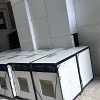 نمایندگی/دستگاه جوجه کشی هدایت/دستگاه جوجه کشی/|فروشگاه و مغازه|قلعه شاهین, |دیوار