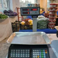 ترازو ۳۰ کیلو صدر