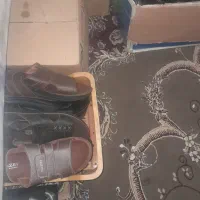 صندل  عمده وتکی  موجود  است|کیف، کفش، کمربند|اندیمشک, |دیوار