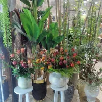 درختچه و لوازم دکوری