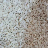 لاشه برنج هاشمی