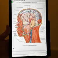 تبلت سامسونگ s6 lite