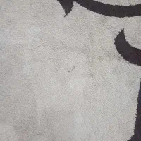 فرش۶متری فانتزی|فرش|گرمدره, |دیوار