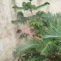 مطبق